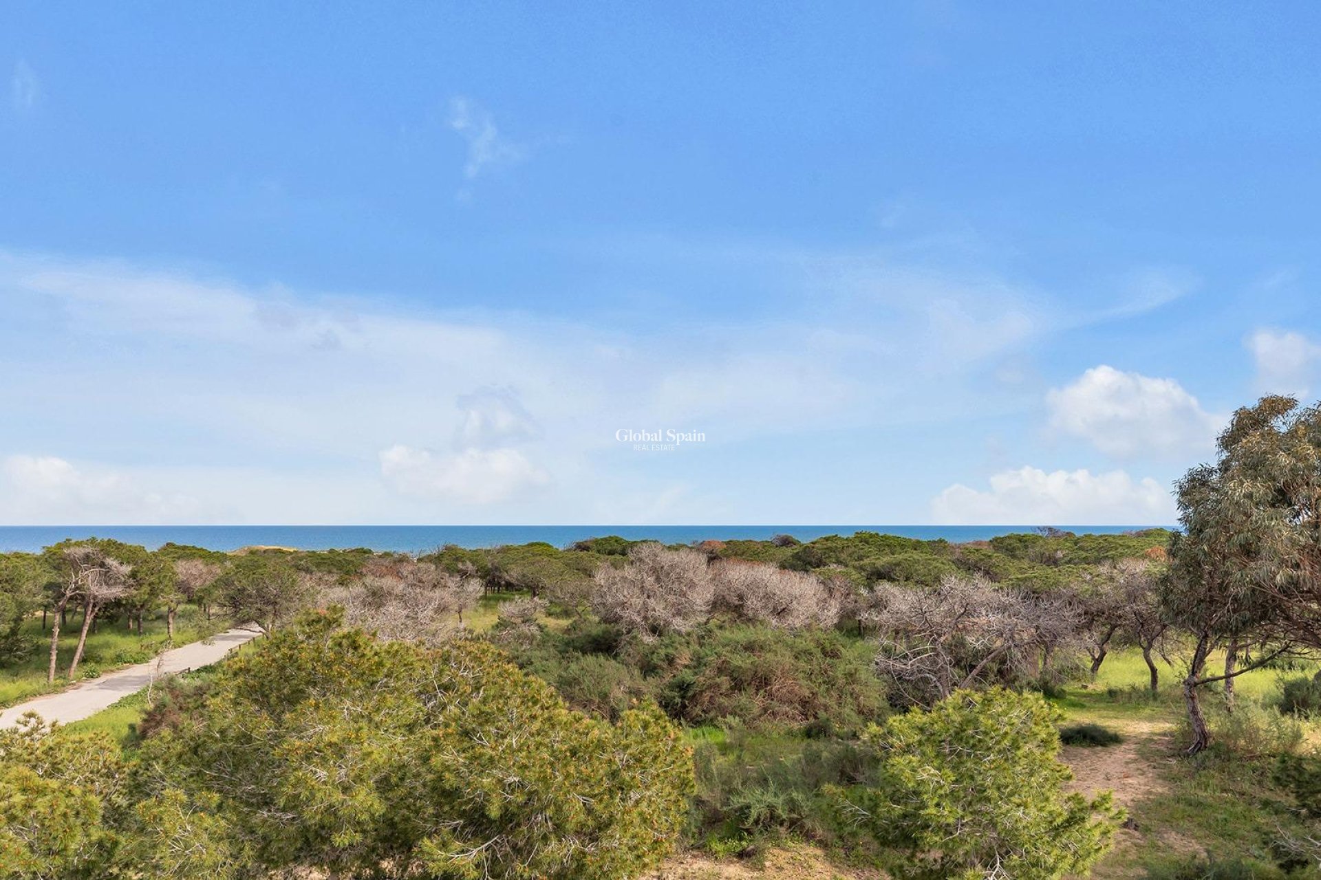 Venta - VILLA -
GUARDAMAR DEL SEGURA - Urbanizaciones