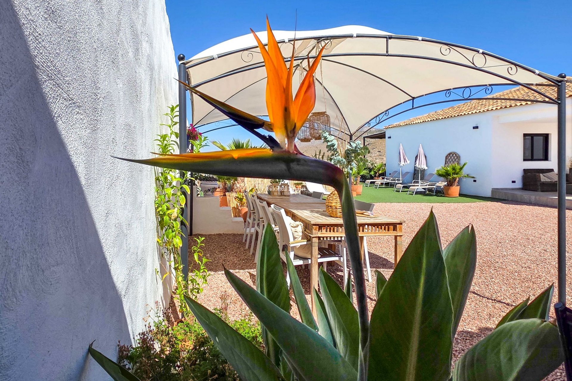 Venta - Villa -
Hondon De Los Frailes