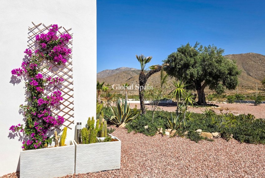 Venta - Villa -
Hondon De Los Frailes