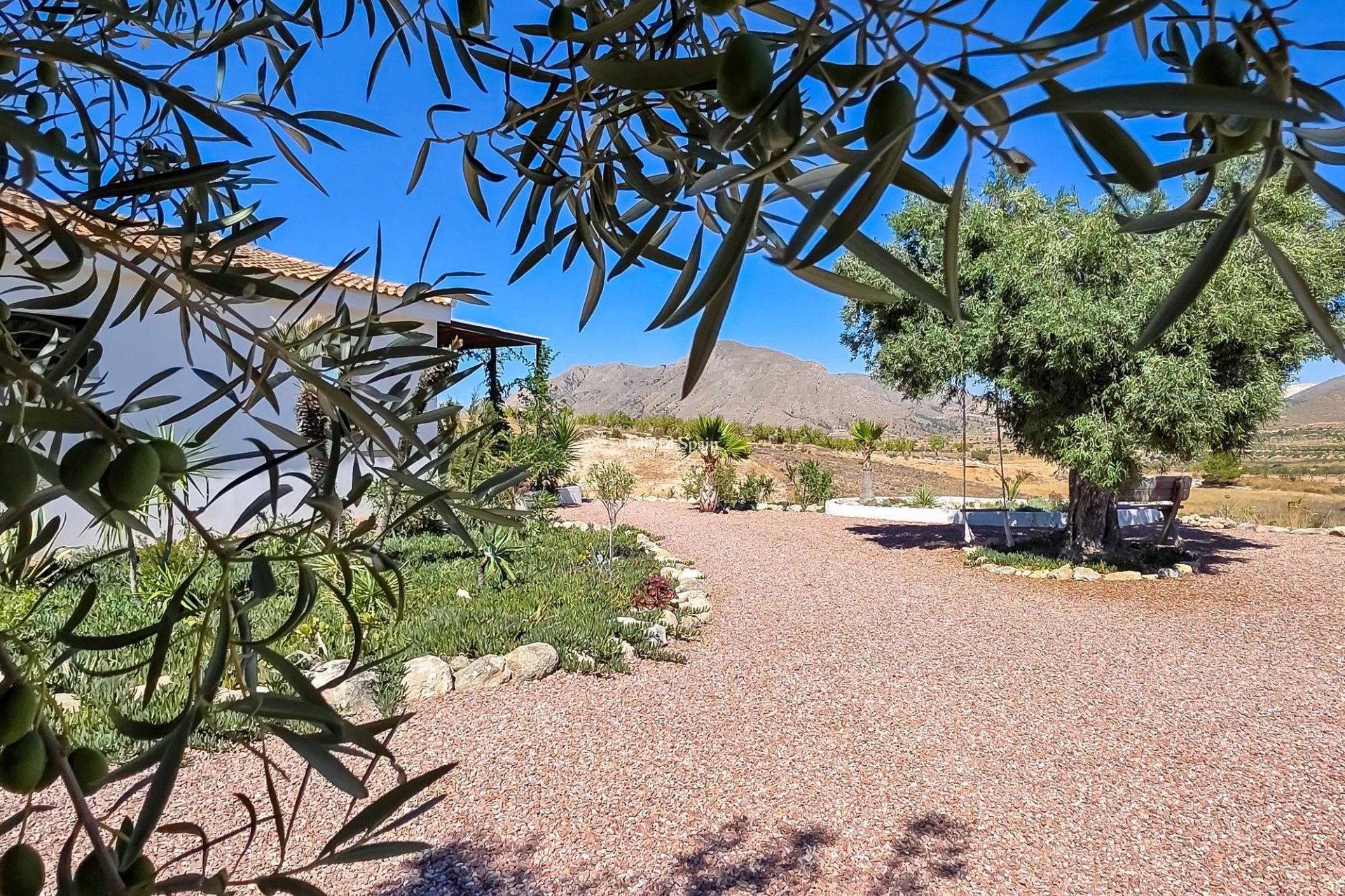 Venta - Villa -
Hondon De Los Frailes