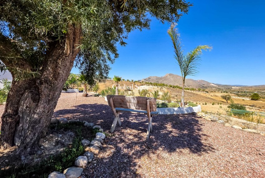 Venta - Villa -
Hondon De Los Frailes