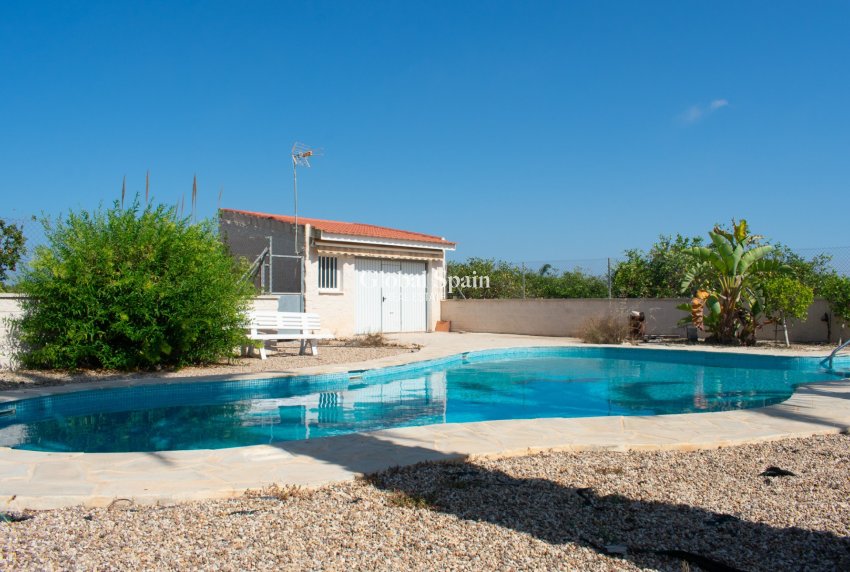 Venta - Villa independiente -
GUARDAMAR DEL SEGURA - EL RASO