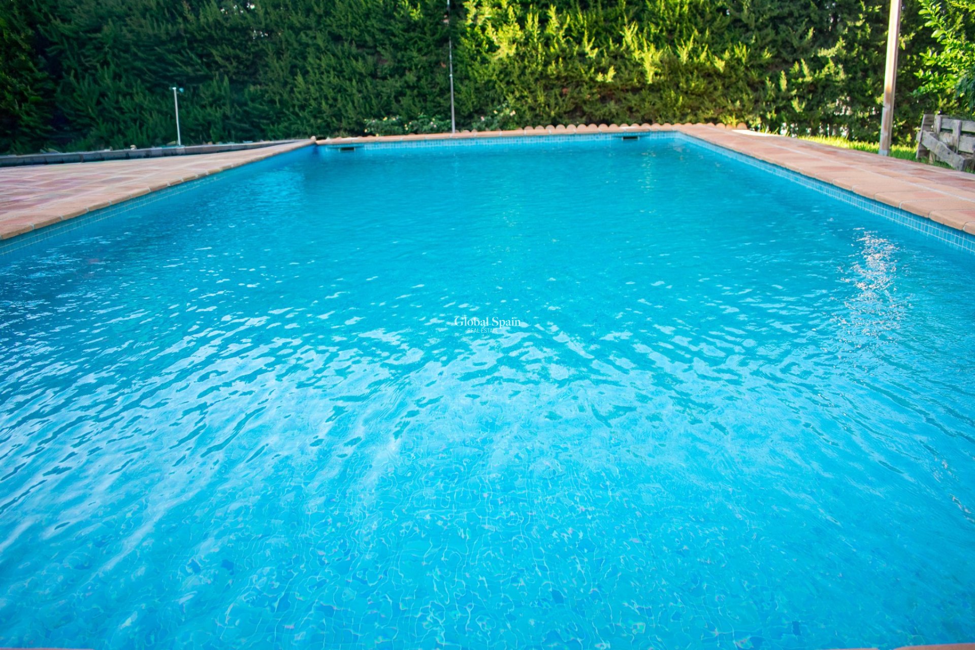 Venta - Villa independiente -
MOLINA DEL SEGURA - Torre de Cotillas