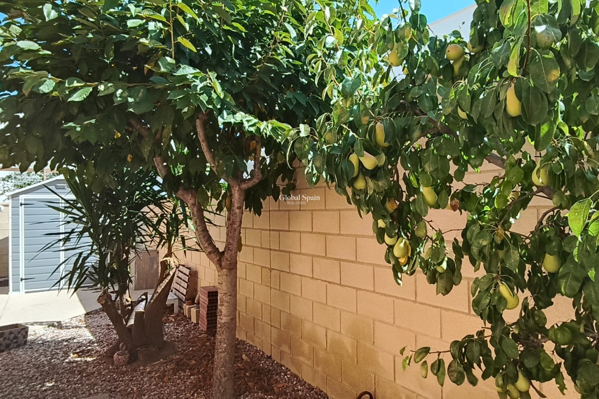 Venta - VILLA -
LA ROMANA - Inland