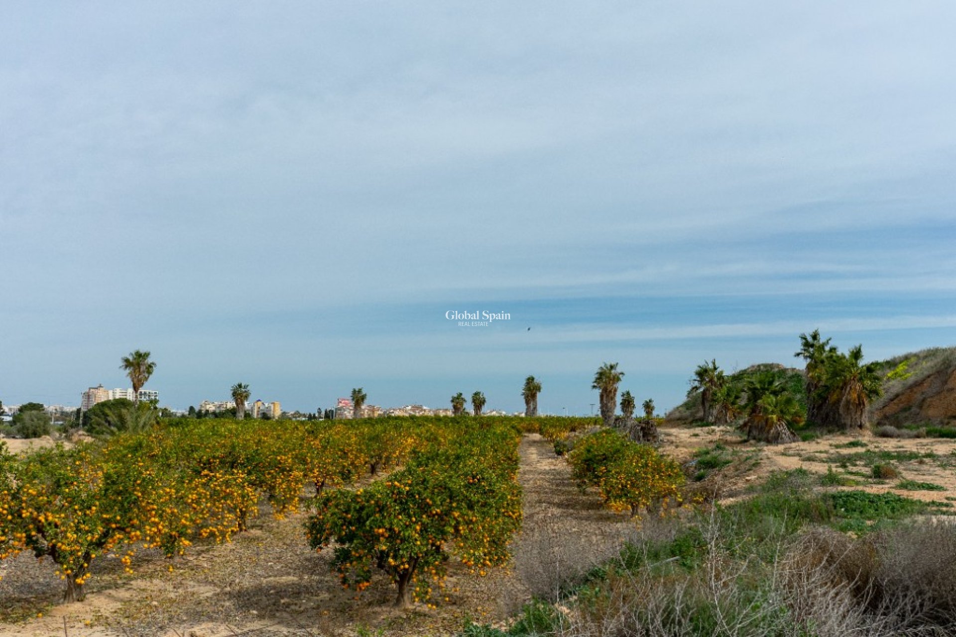 Venta - Villa -
LOS BALCONES - LOS ALTOS