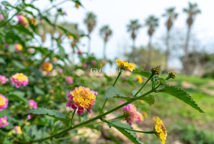 Venta - Villa -
LOS BALCONES - LOS ALTOS