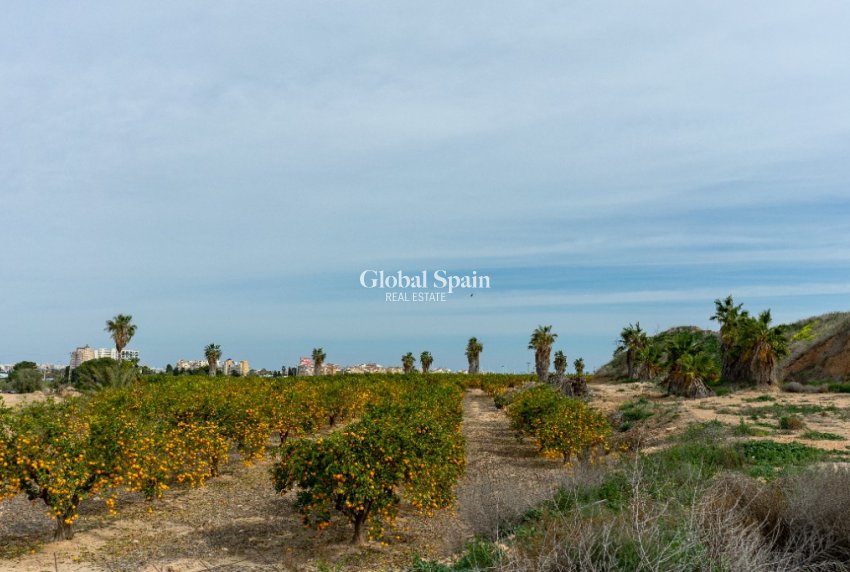 Venta - Villa -
LOS BALCONES - LOS ALTOS