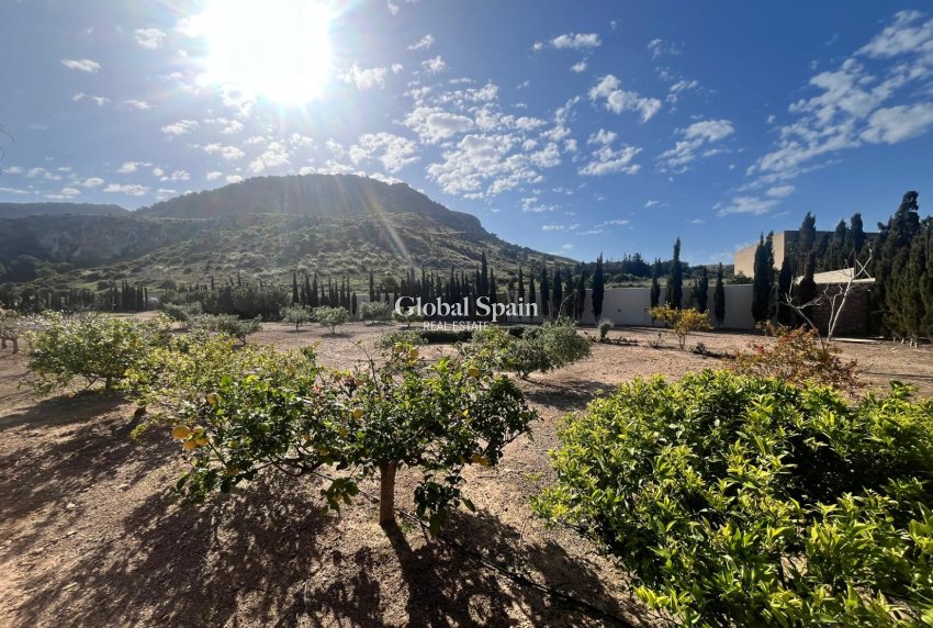 Venta - VILLA -
LOS BELONES - Inland