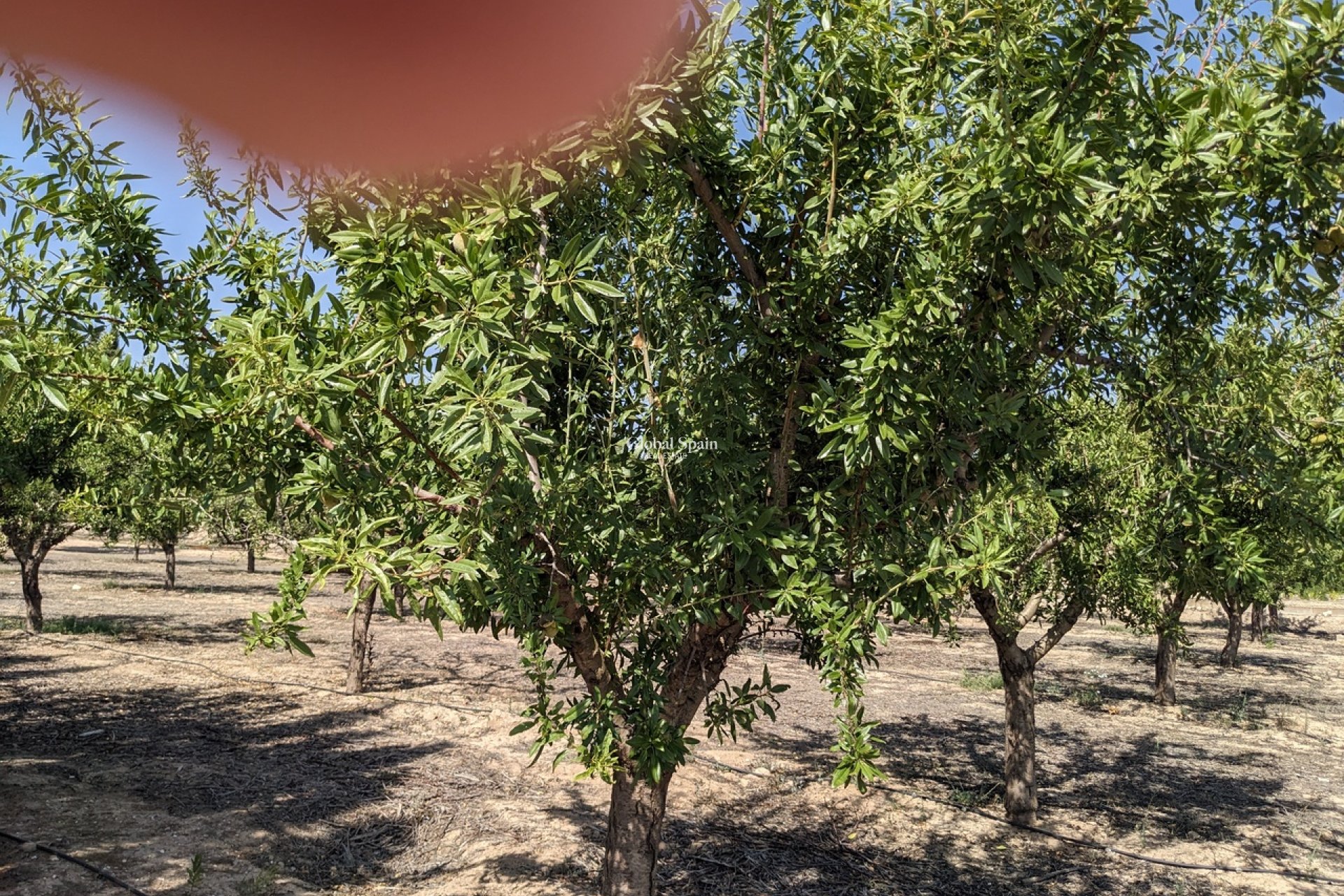 Venta - VILLA -
MURCIA - Inland