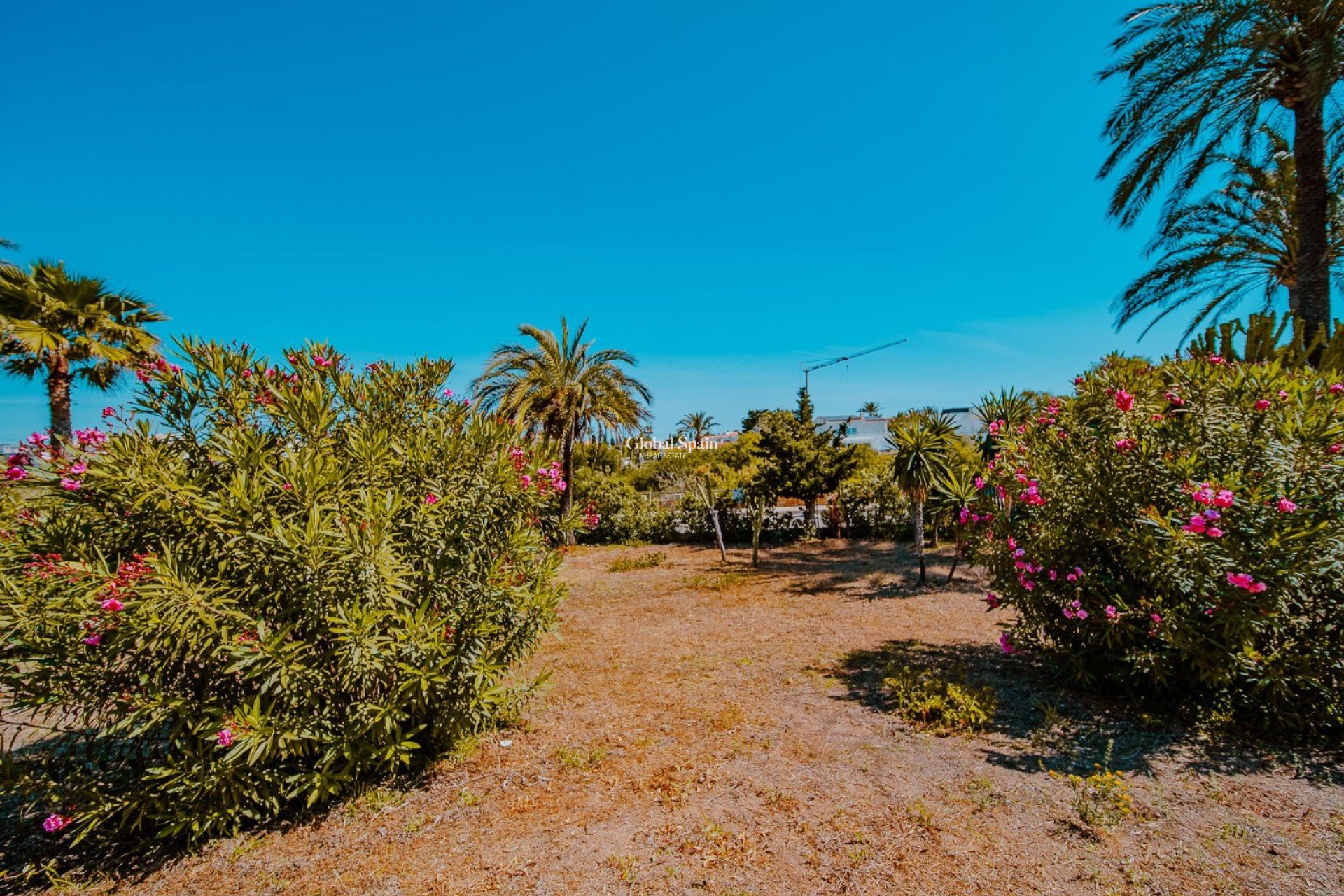 Venta - Villa -
ORIHUELA COSTA - Playa Flamenca