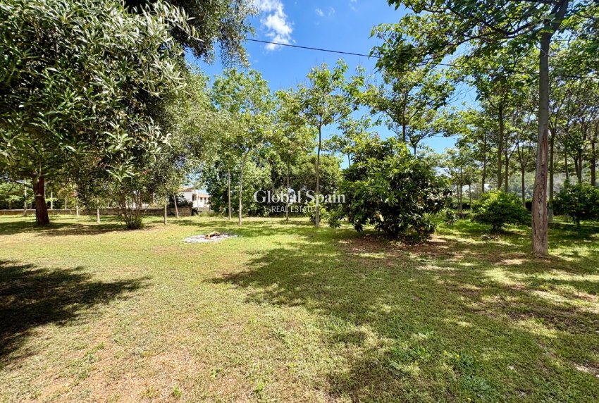 Venta - VILLA -
PEDREGUER - Pedreguer