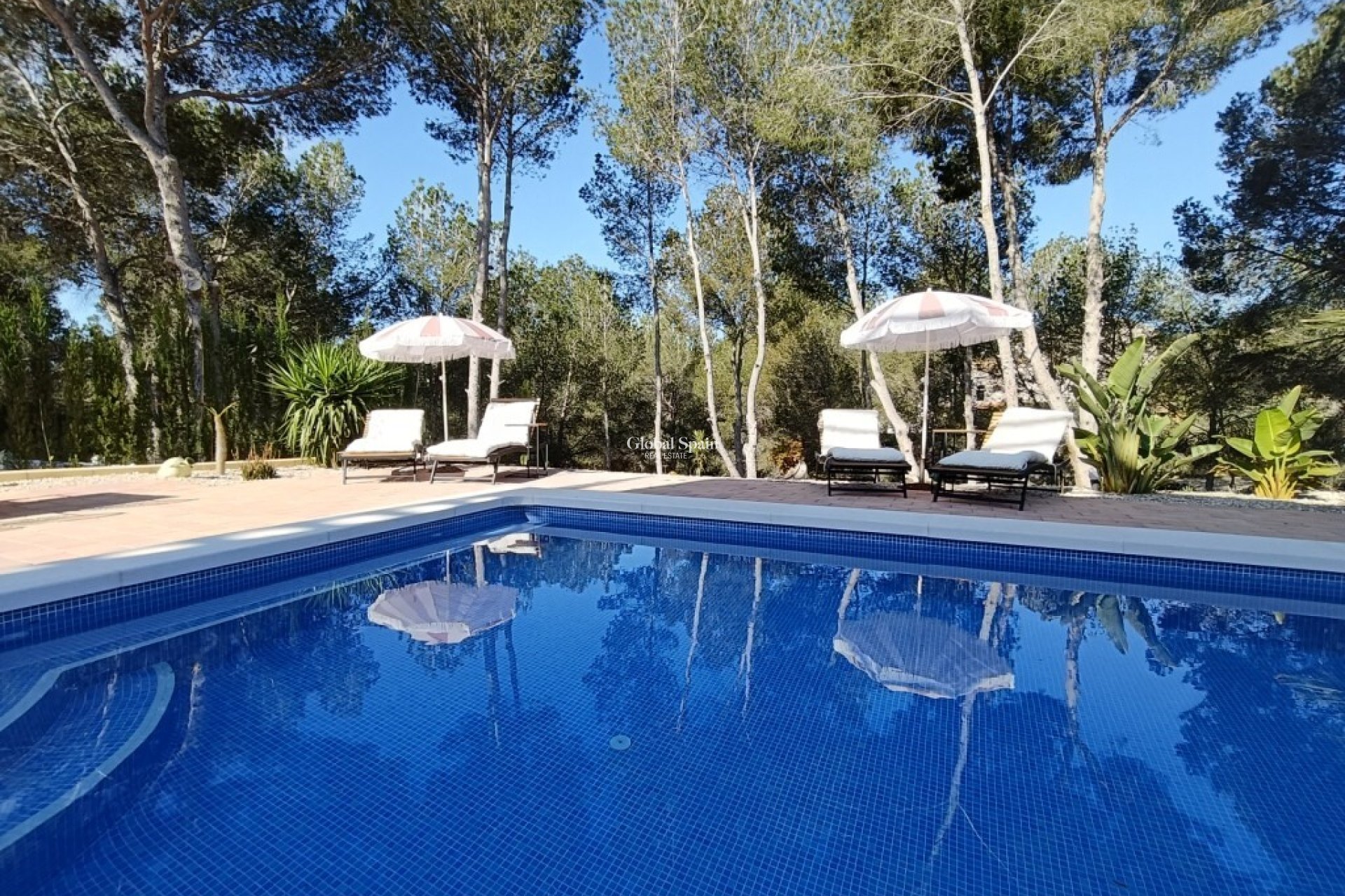 Venta - VILLA -
PILAR DE LA HORADADA - Pinar de Campoverde