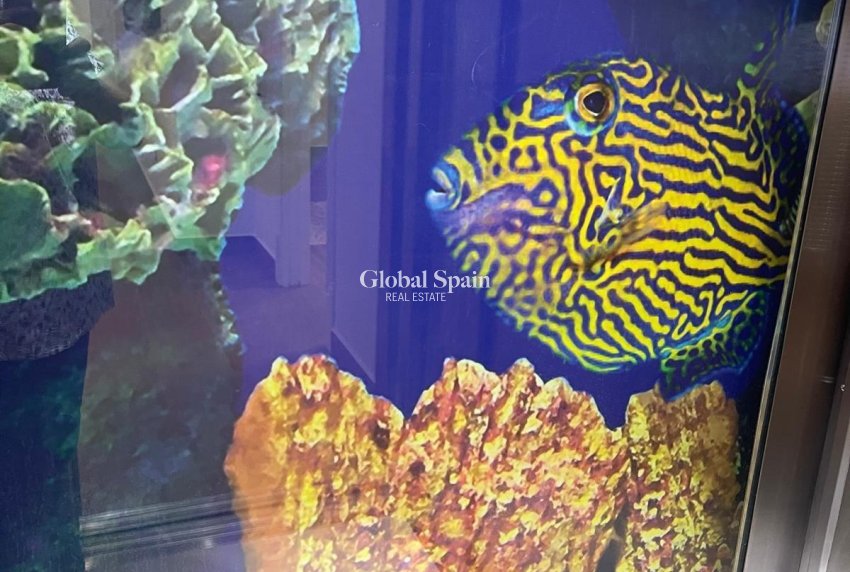 Venta - VILLA -
SAN MIGUEL DE SALINAS - Altos De San Miguel