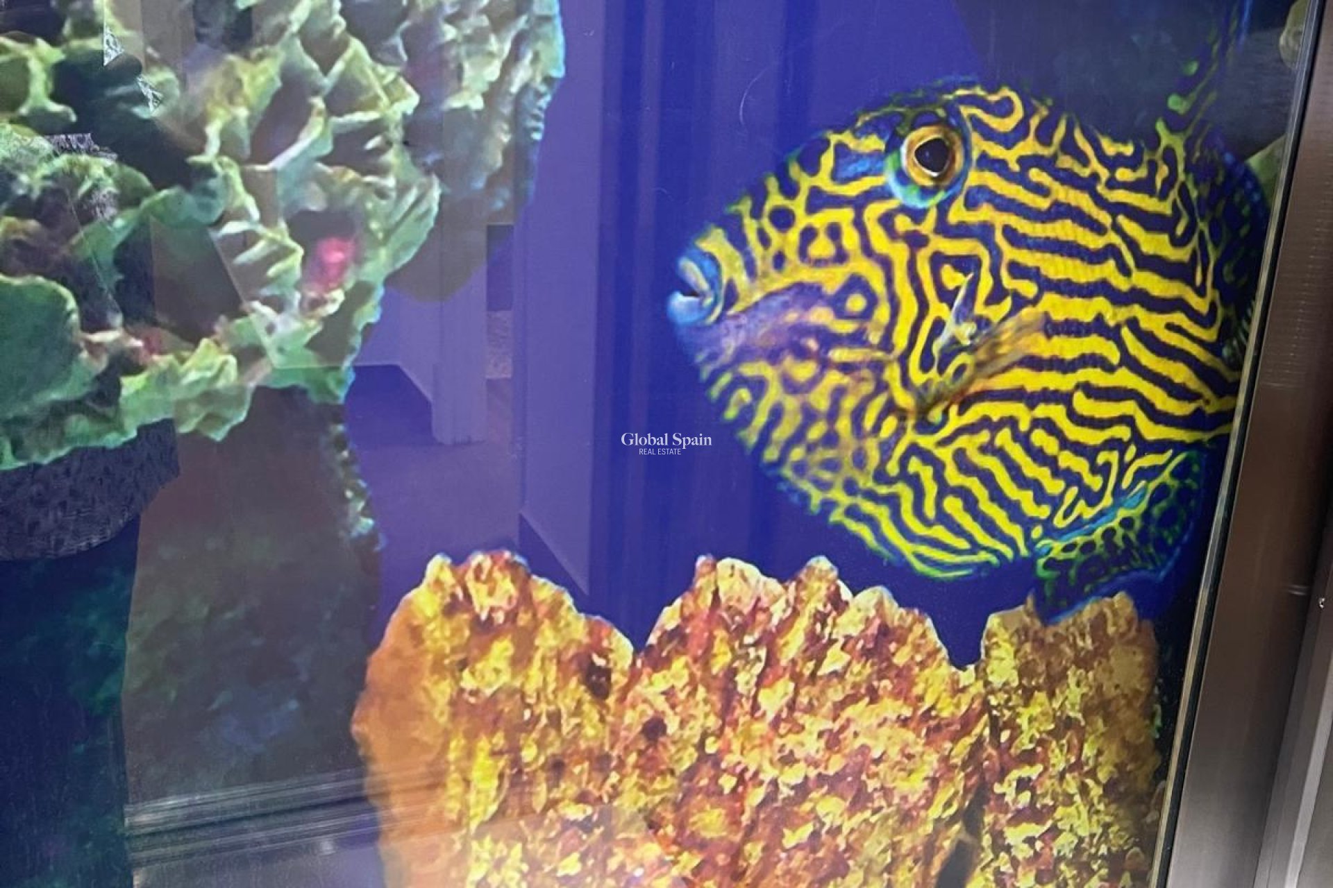 Venta - VILLA -
SAN MIGUEL DE SALINAS - Altos De San Miguel