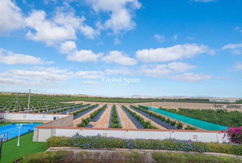 Venta - VILLA -
SAN MIGUEL DE SALINAS - Inland