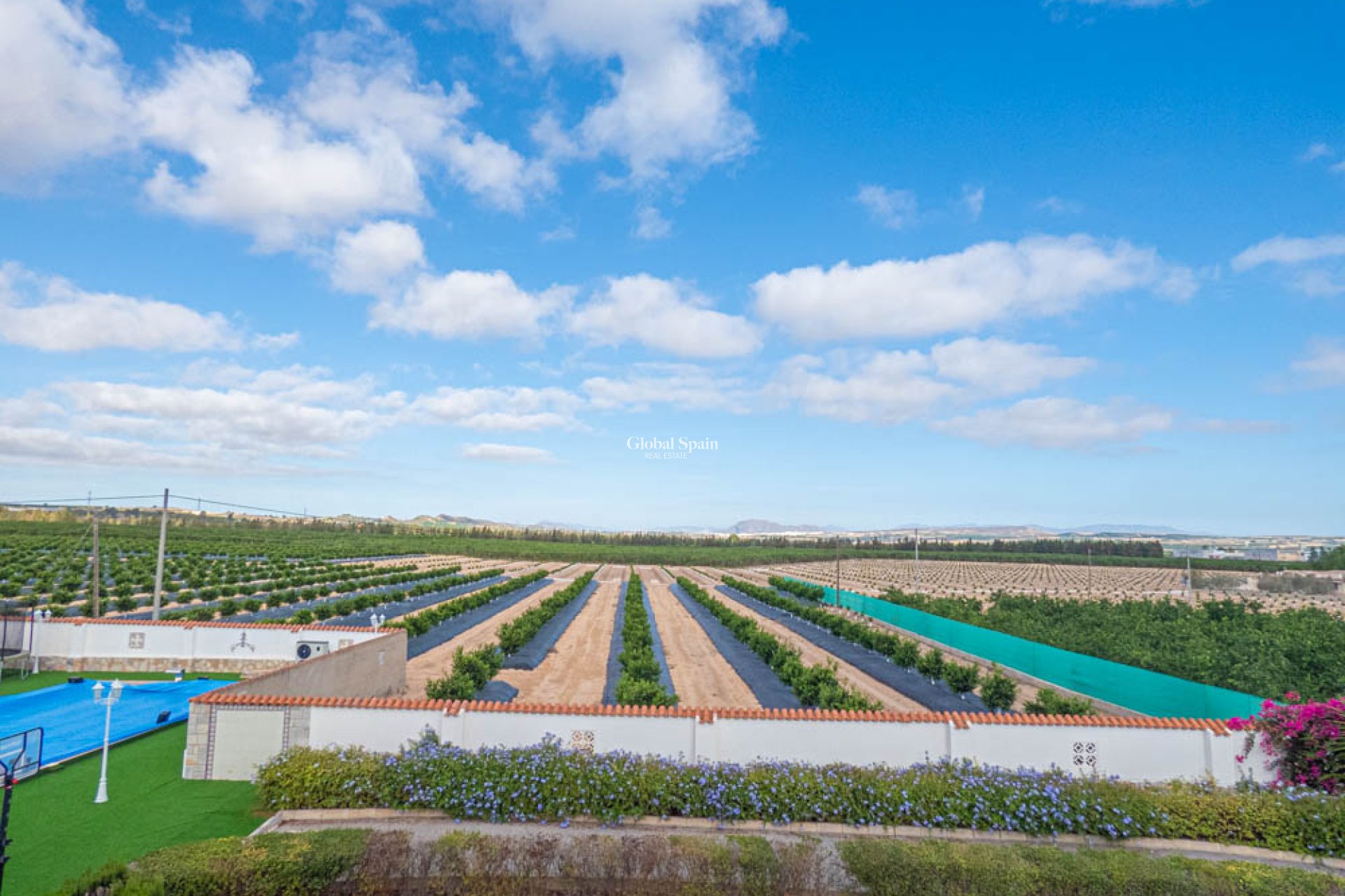 Venta - VILLA -
SAN MIGUEL DE SALINAS - Inland