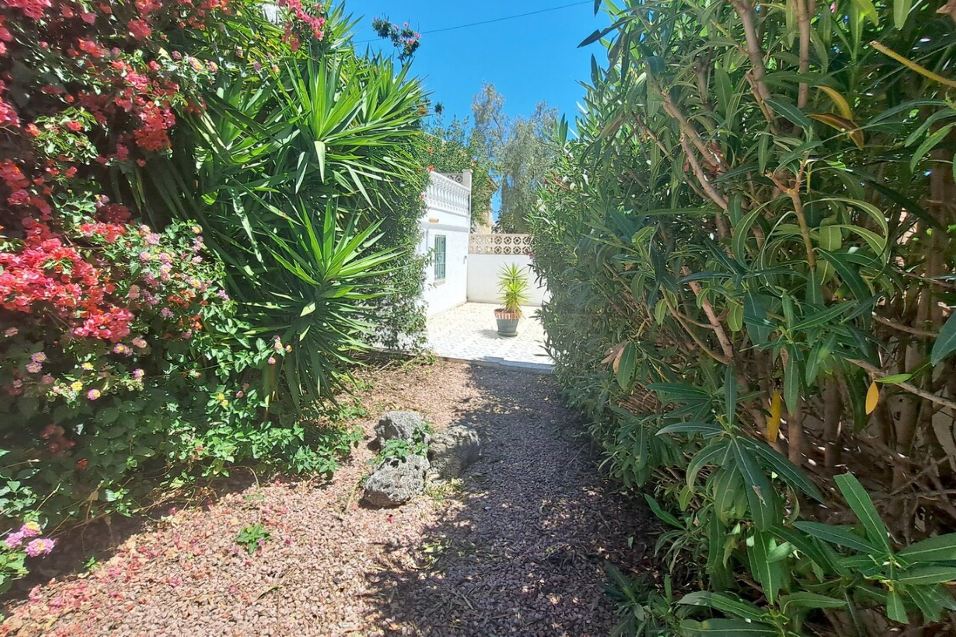 Venta - VILLA -
SAN MIGUEL DE SALINAS - Inland
