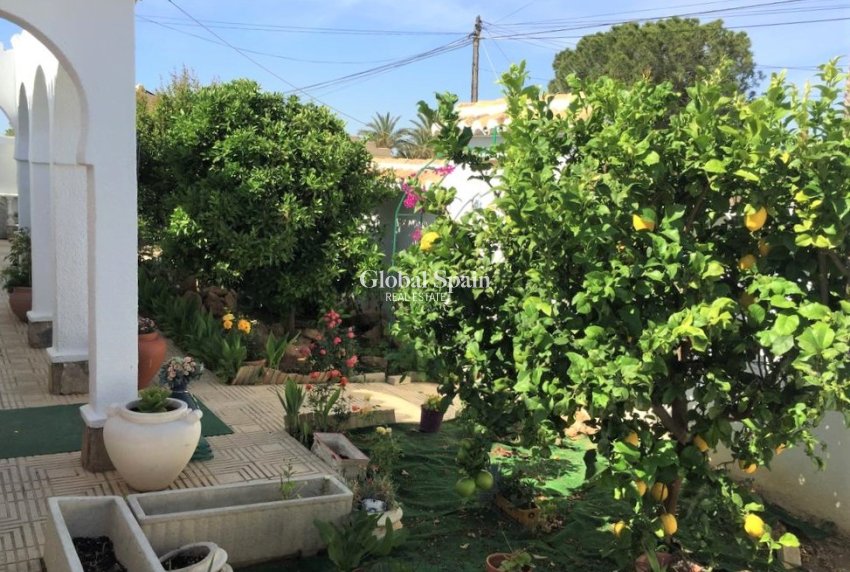 Venta - VILLA -
TORREVIEJA - Costa Blanca