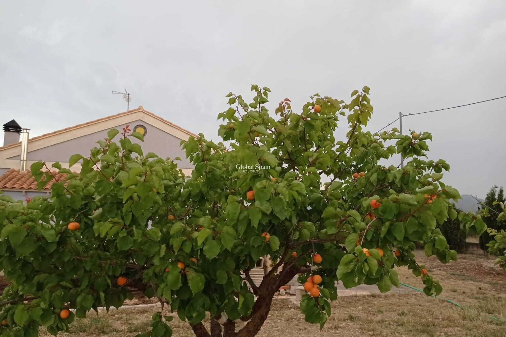 Venta - VILLA -
YECLA - Inland