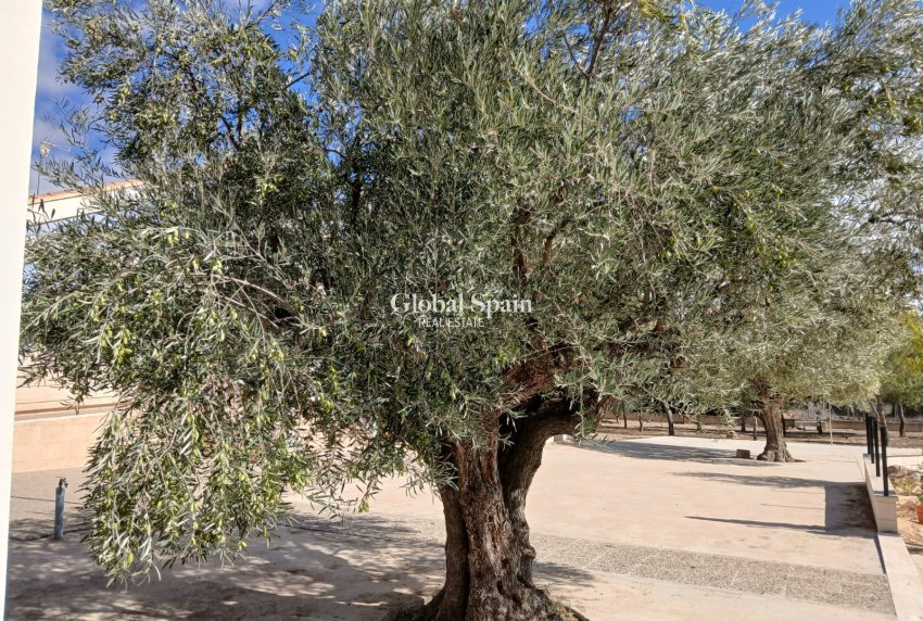 Venta - VILLA -
YECLA - Inland