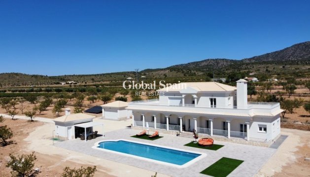VILLA - Neubau - PINOSO -
                Camino Del Prado