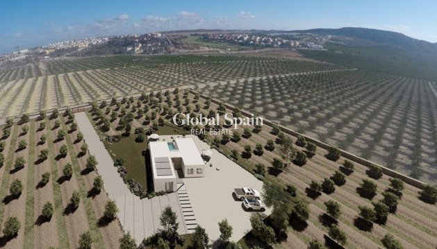 Villa - New Build - ALGORFA -
                ALGORFA