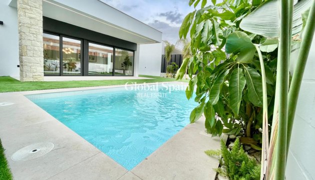 VILLA - New Build - MOLINA DEL SEGURA -
                MOLINA DEL SEGURA