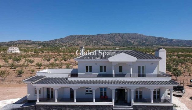 VILLA - New Build - PINOSO -
                Camino Del Prado