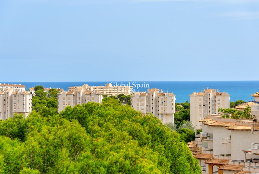 Wederverkoop - APPARTEMENT -
ALICANTE - Costa Blanca