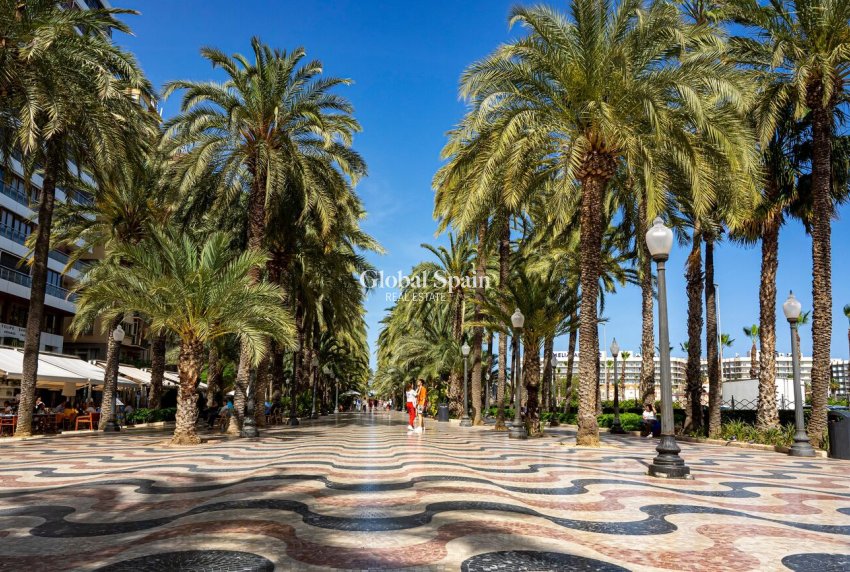 Wederverkoop - APPARTEMENT -
ALICANTE - Costa Blanca