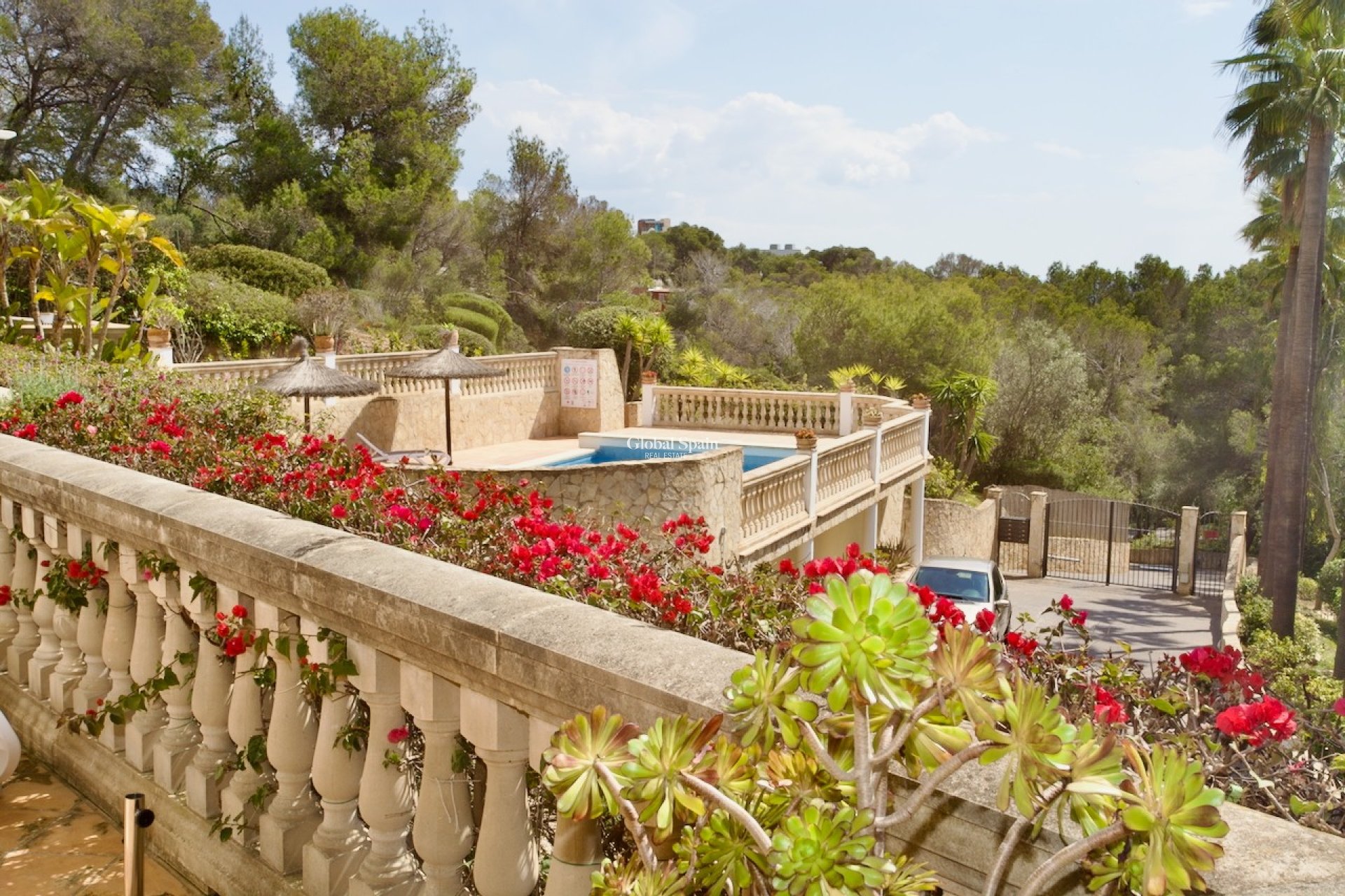 Wederverkoop - Appartement - Begane Grond -
Portals Nous - Calvià