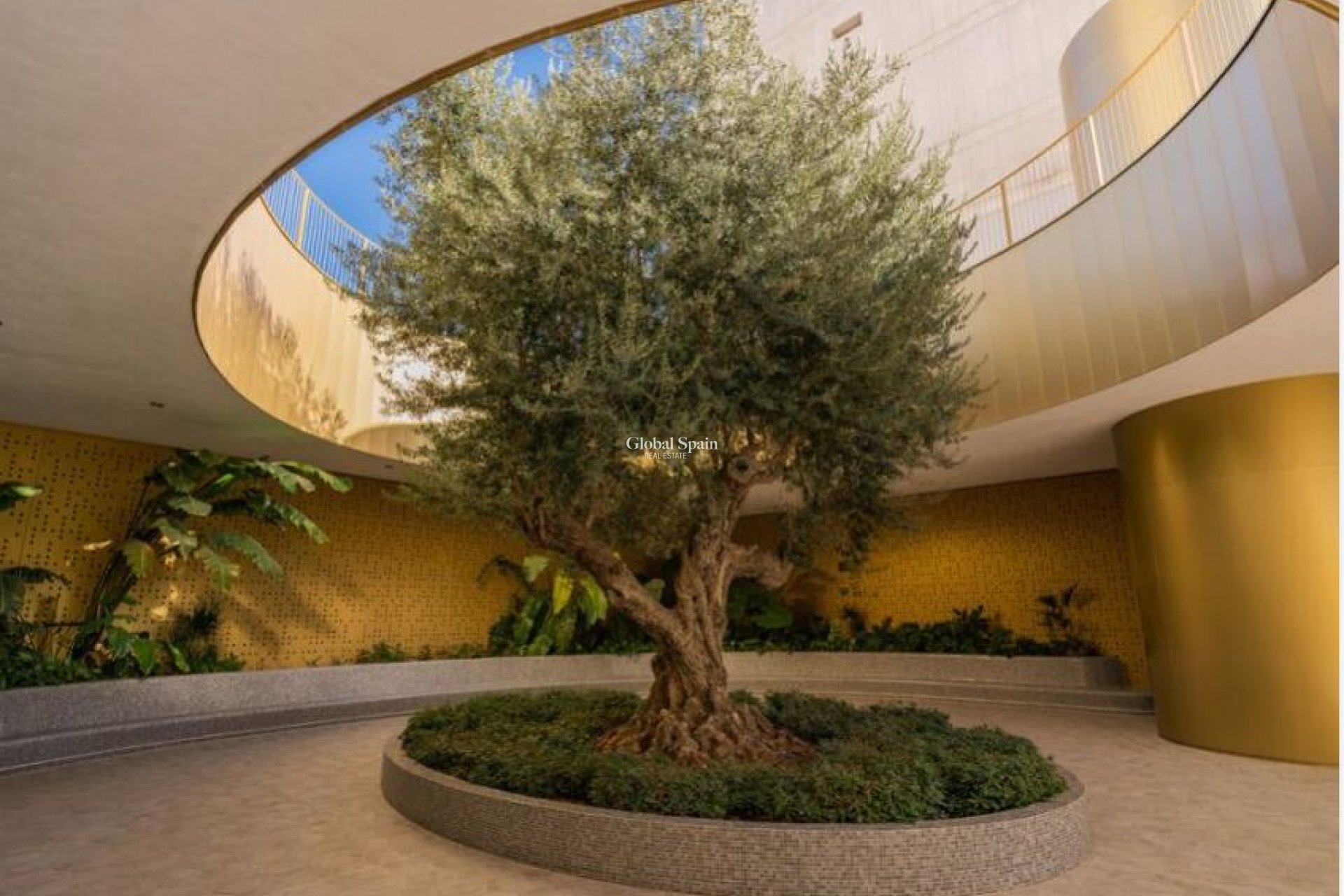 Wederverkoop - APPARTEMENT -
BENIDORM - Costa Blanca