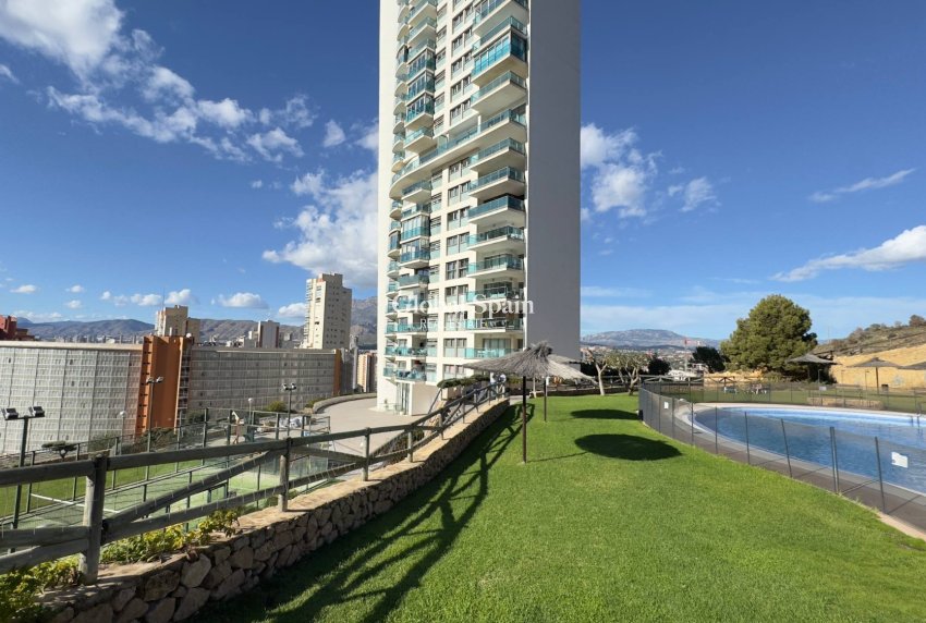 Wederverkoop - APPARTEMENT -
BENIDORM - Levante
