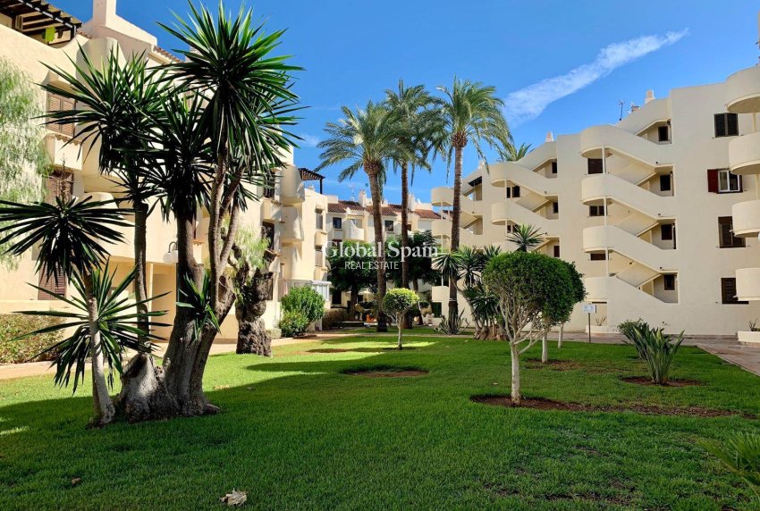 Wederverkoop - APPARTEMENT -
DENIA - Costa Blanca