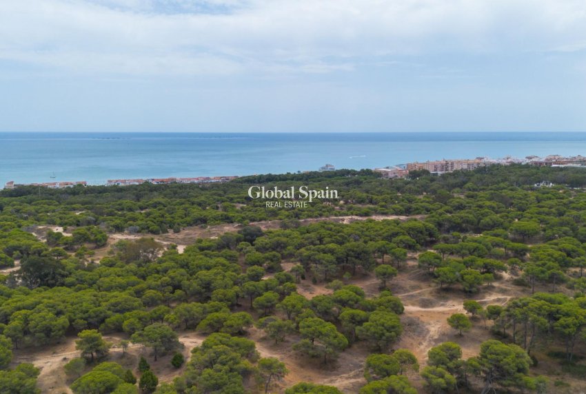 Wederverkoop - APPARTEMENT -
GUARDAMAR DEL SEGURA - Centro