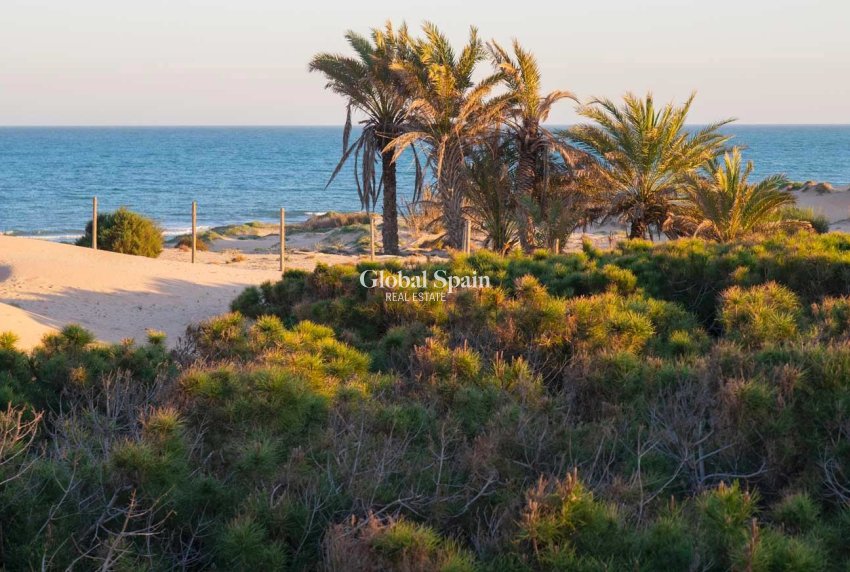 Wederverkoop - APPARTEMENT -
GUARDAMAR DEL SEGURA - Costa Blanca