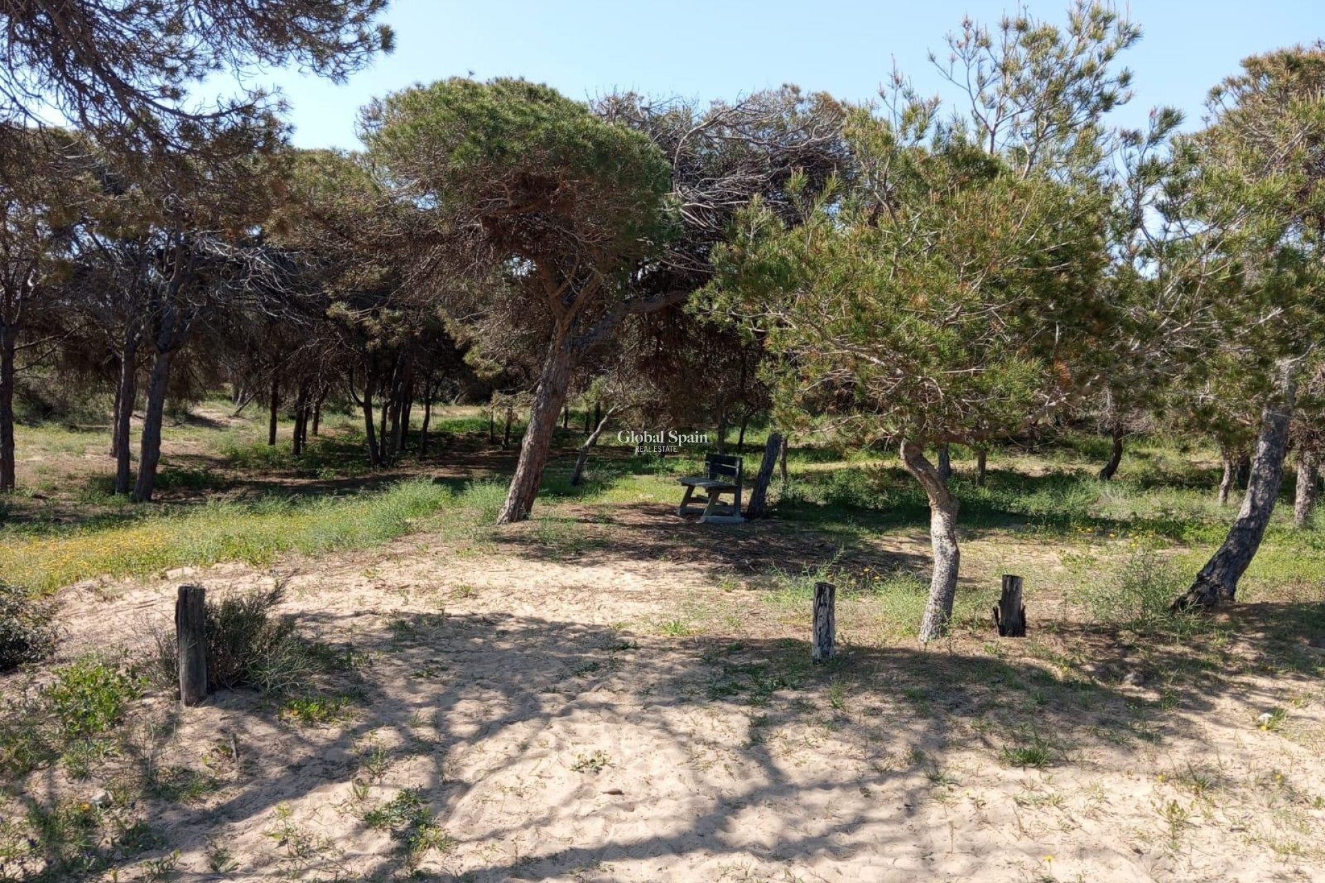 Wederverkoop - APPARTEMENT -
GUARDAMAR DEL SEGURA - Urbanizaciones