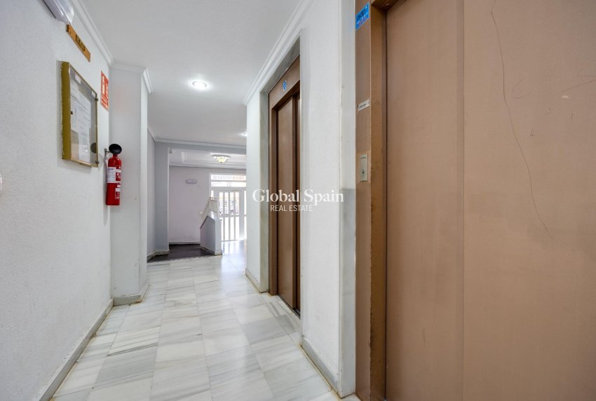 Wederverkoop - APPARTEMENT -
GUARDAMAR DEL SEGURA