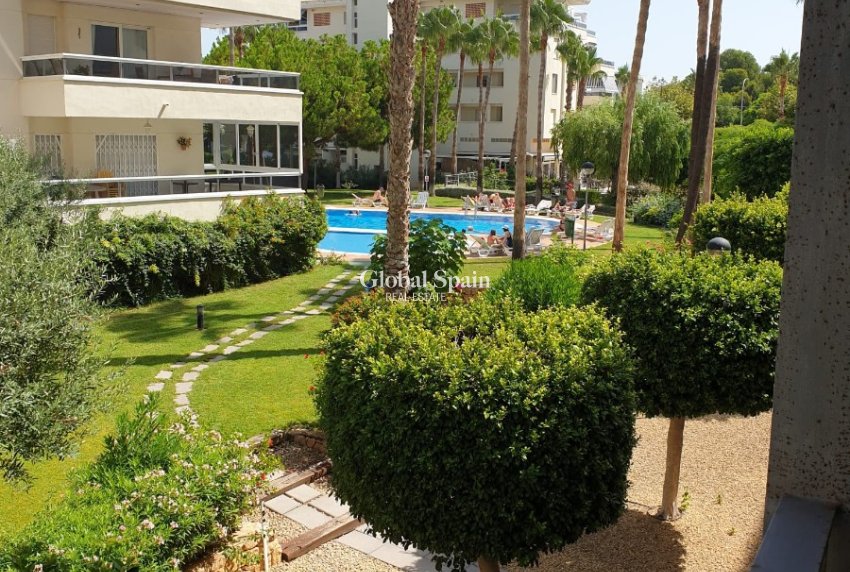 Wederverkoop - APPARTEMENT -
L'ALBIR - center