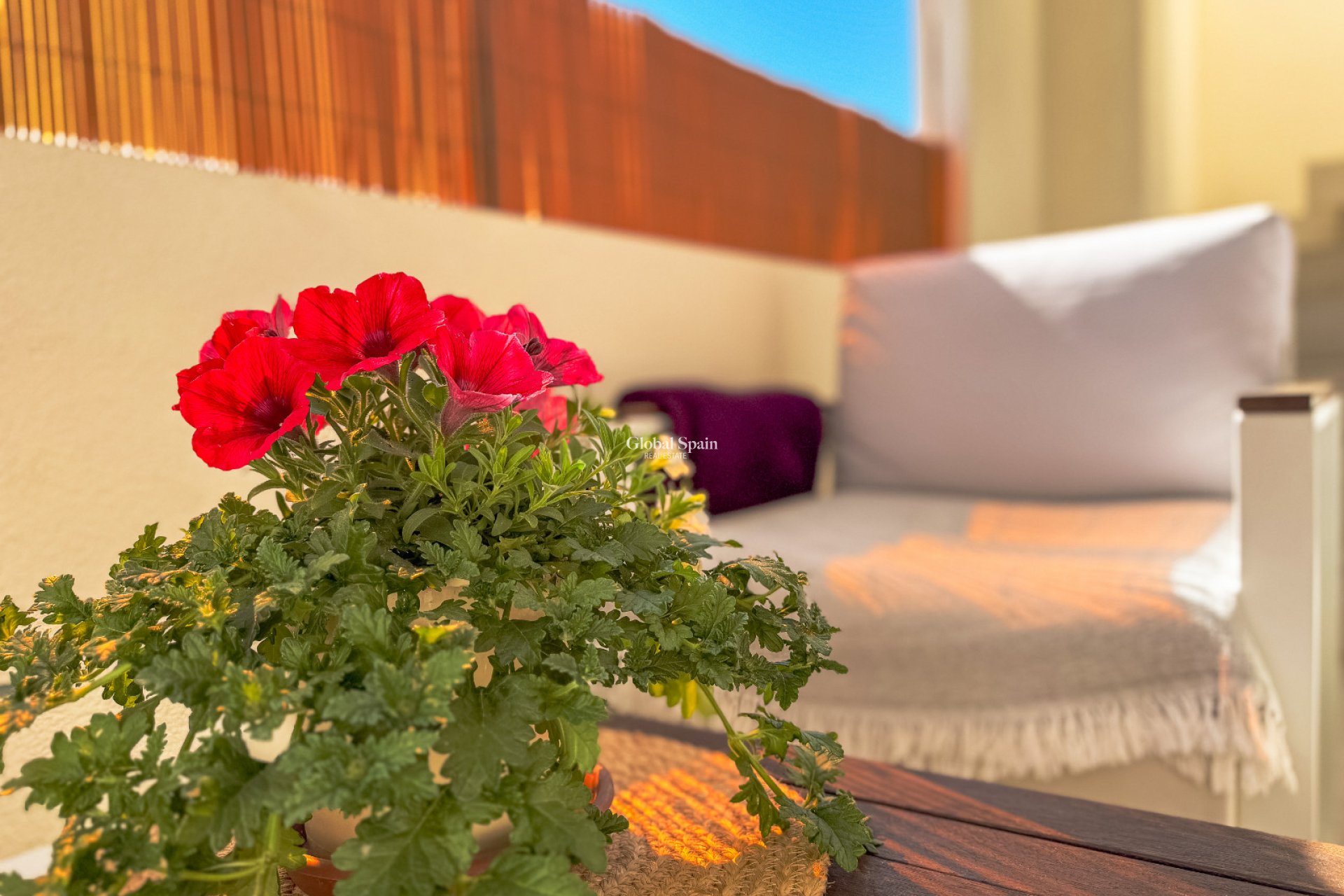 Wederverkoop - APPARTEMENT -
LOS BALCONES - LOS ALTOS - Costa Blanca