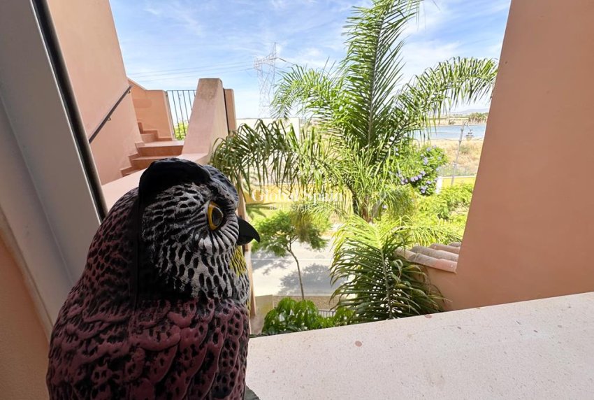 Wederverkoop - APPARTEMENT -
MAR MENOR GOLF RESORT - Inland