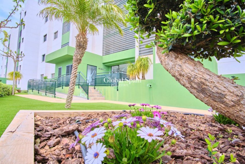 Wederverkoop - APPARTEMENT -
MIL PALMERAS  - Costa Blanca