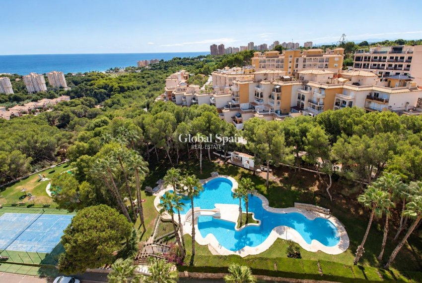 Wederverkoop - APPARTEMENT -
ORIHUELA COSTA - Altos de Campoamor