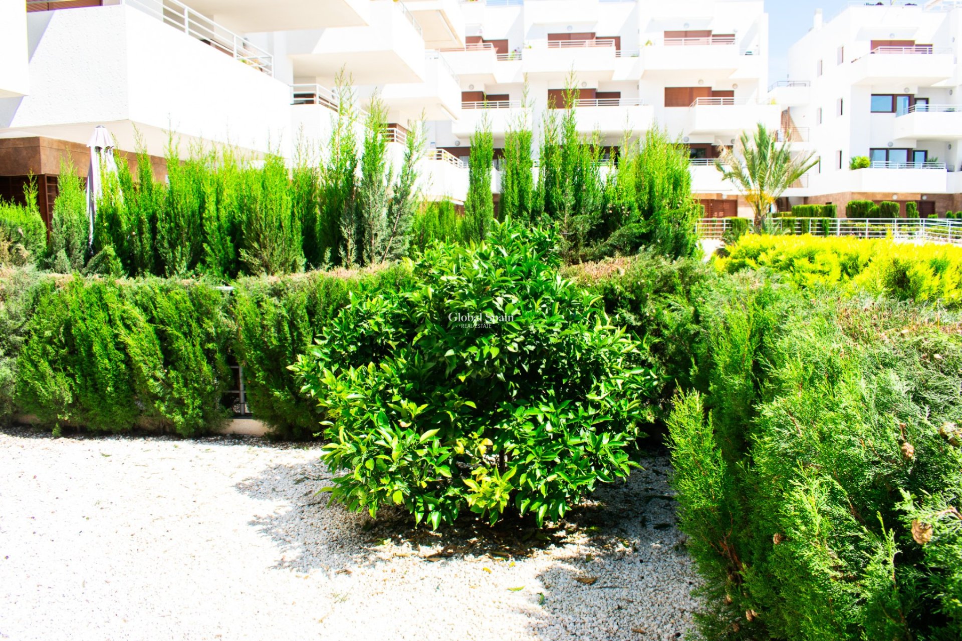 Wederverkoop - APPARTEMENT -
ORIHUELA COSTA - CABO ROIG
