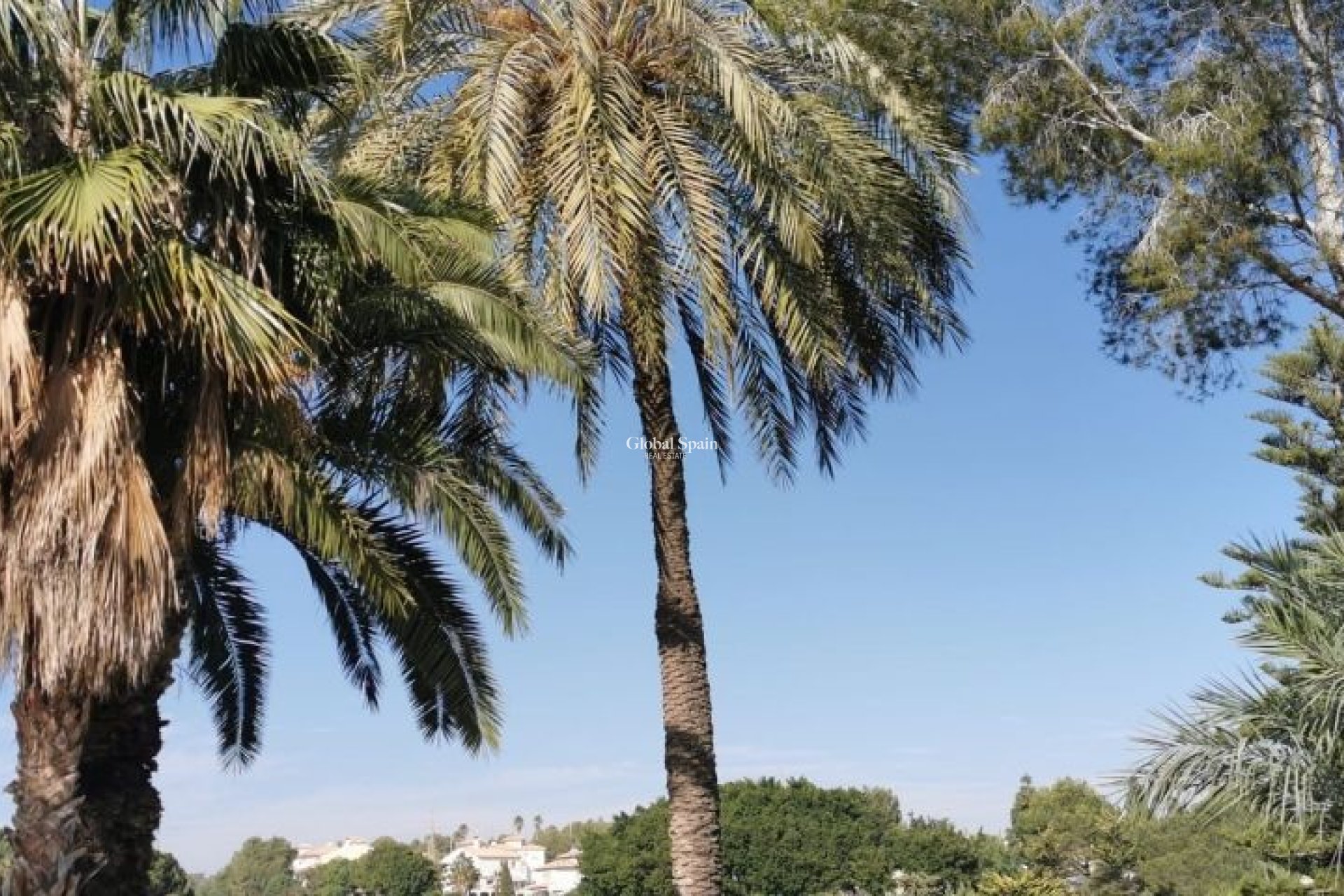Wederverkoop - APPARTEMENT -
ORIHUELA COSTA - Costa Blanca