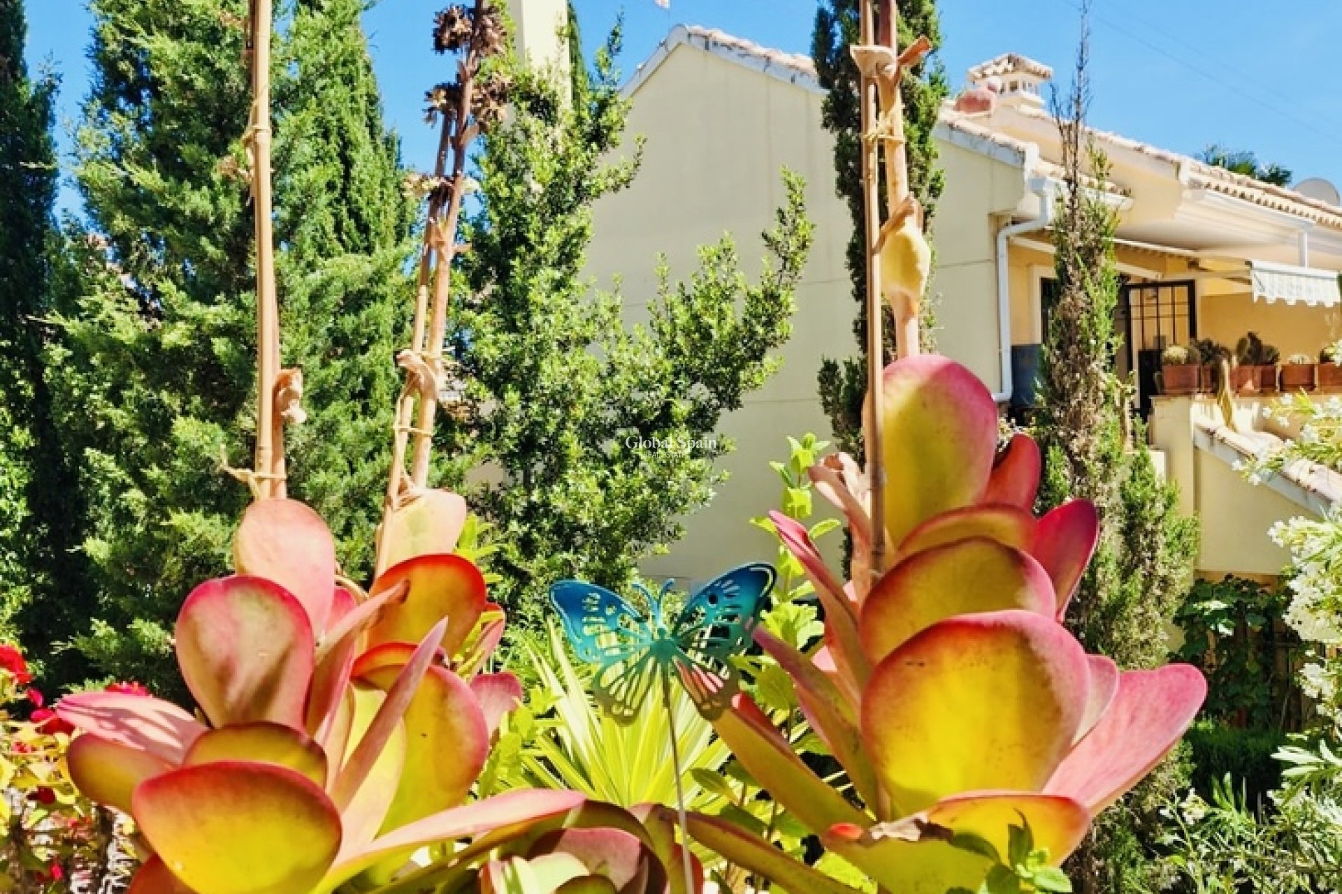 Wederverkoop - APPARTEMENT -
ORIHUELA COSTA - Costa Blanca