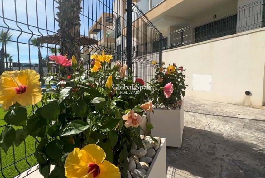 Wederverkoop - APPARTEMENT -
ORIHUELA COSTA - Costa Blanca