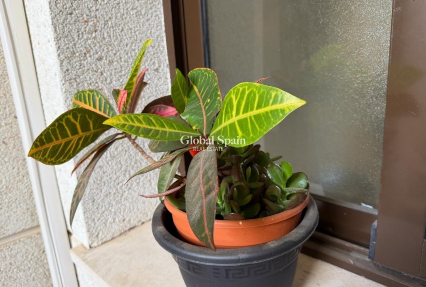 Wederverkoop - APPARTEMENT -
ORIHUELA COSTA - Las Ramblas