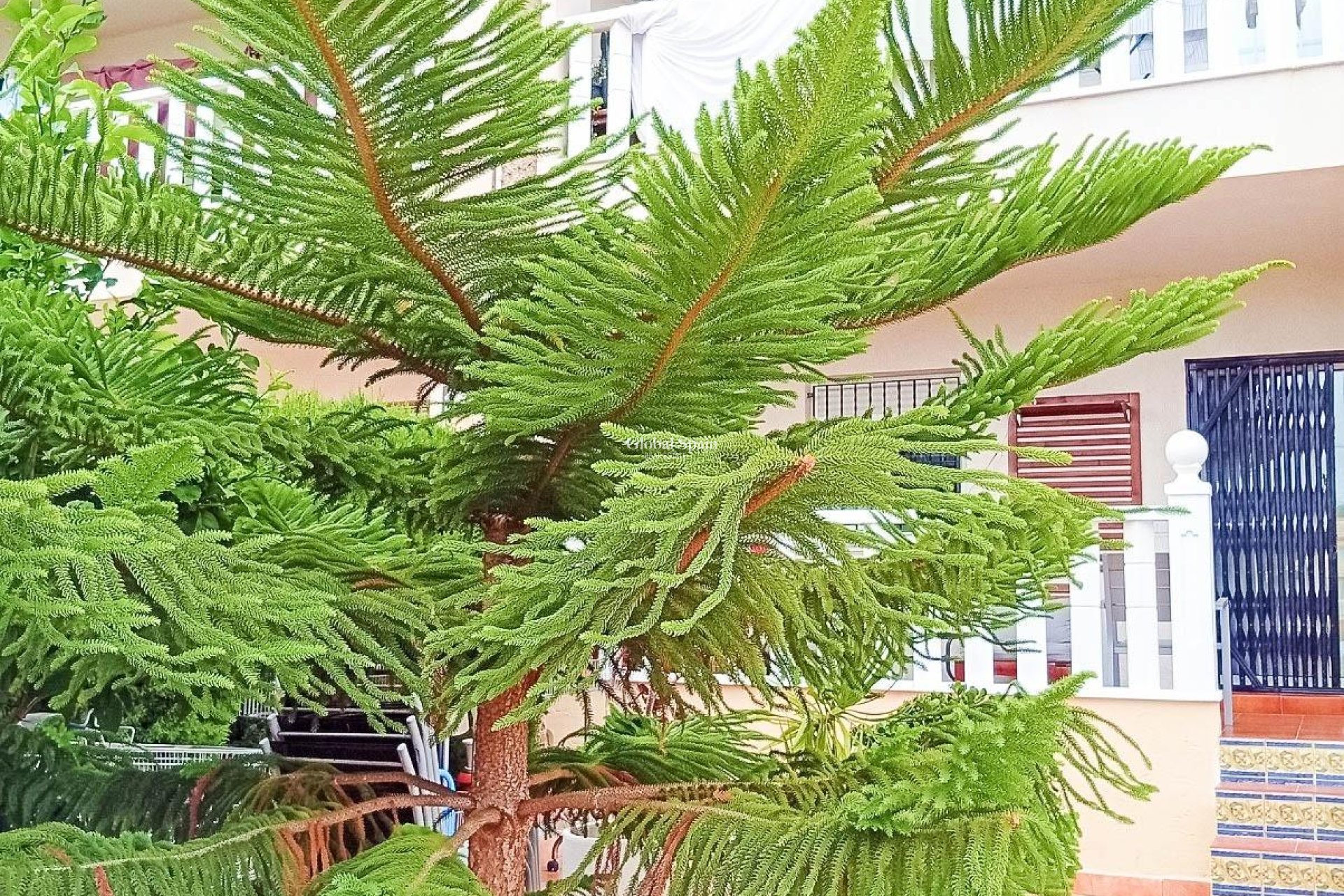 Wederverkoop - APPARTEMENT -
ORIHUELA COSTA - Lomas De Cabo Roig-los Dolses