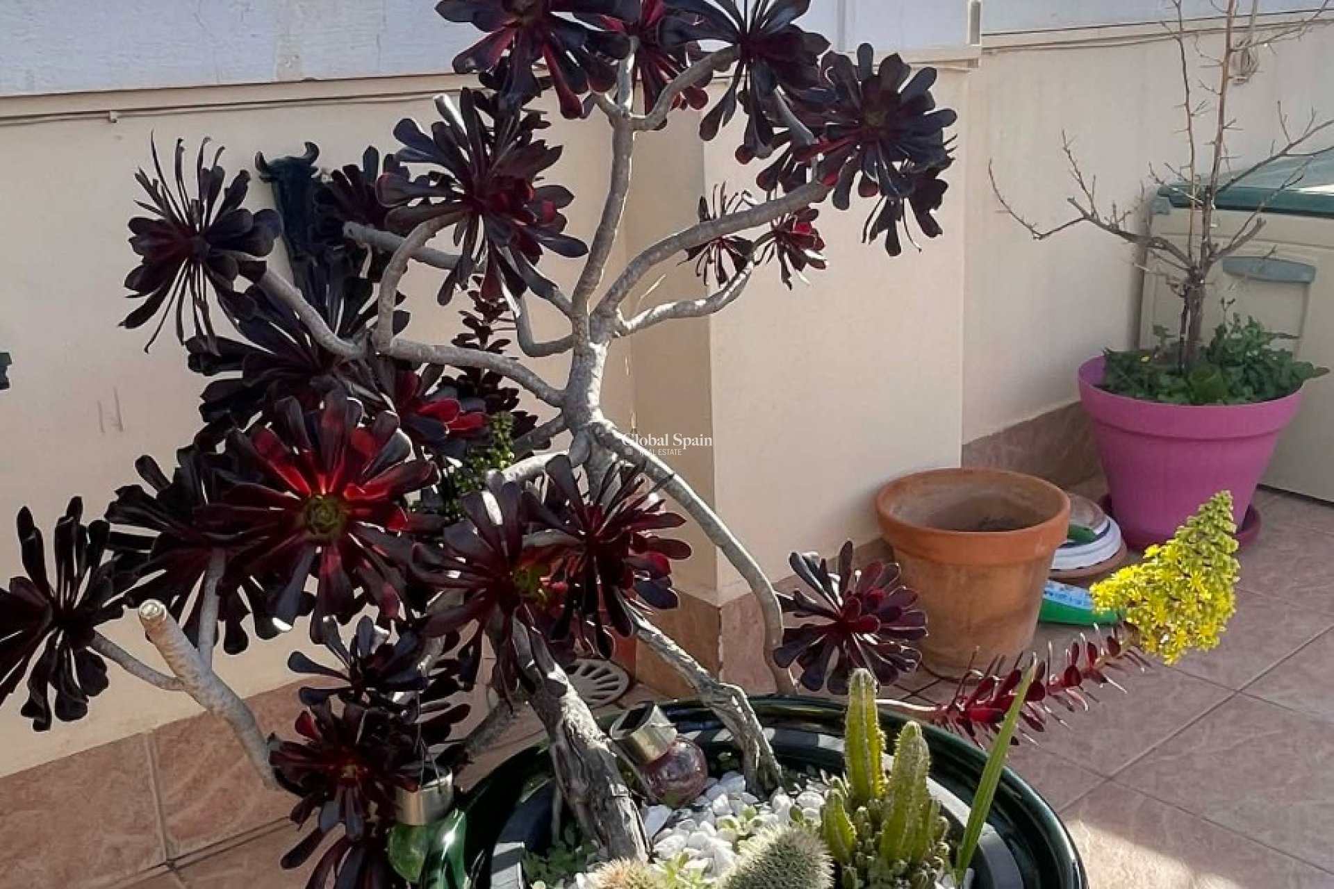 Wederverkoop - APPARTEMENT -
ORIHUELA COSTA - LOS BALCONES - LOS ALTOS